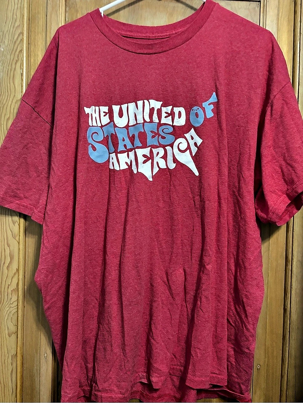 United States of America Graphic Tee in Red